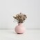 Home Decor Modern Morandi Color Style Small Nordic Ceramic Flower Vase