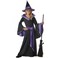 California Costumes- Incantasia, The Glamour Witch Girls Costume Black/Purple< >BLACK/PURPLE< >L< >