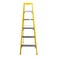 Carrefour Ladder