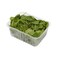 Local Baby Spinach 100gr