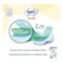 Sofy Anti-Bacterial Musk Slim Sanitary Pads With Wings Large White 28 Pads