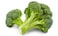 Tabarak Broccoli - 350 gram