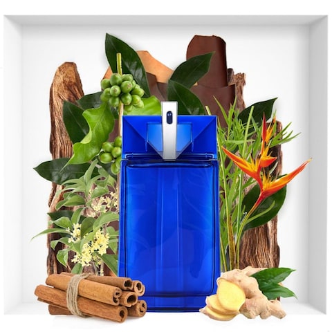 Thierry Mugler Alien Man Fusion Eau De Toilette - 100ml