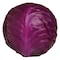Red Cabbage