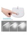 Deeplite - 5W LED Desk Lamp White 4.7 x 3.5 x 14.9inch