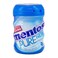 Mentos Pure Fresh Mint Chewing Gum 61.25g