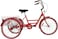 Benotto Adult Tricycle with Basket 24 inch - Made in Taiwan