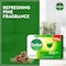 Dettol Original Anti-Bacterial Soap 110G