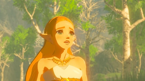 Nintendo The Legend Of Zelda Breath Of The Wild For Nintendo Switch