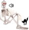 Dunchaty Halloween Hanging Posable Skeleton, 3Ft Prop Skull With LED Glowing Eyes And Creepy Shrilling Sound Activated Outdoor Decorations Decoration