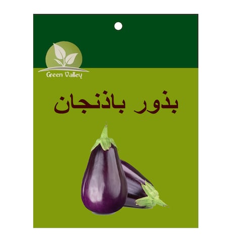 Green Valley Aubergine Seeds - 10 gram