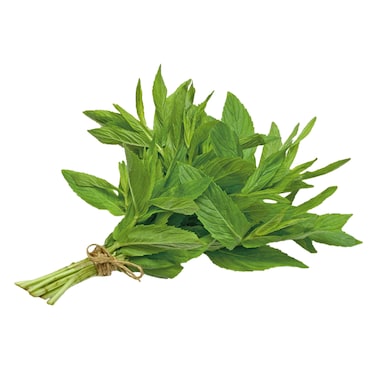 Mint Bunch