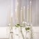 Bolsius Tapered Candles - Box Of 10