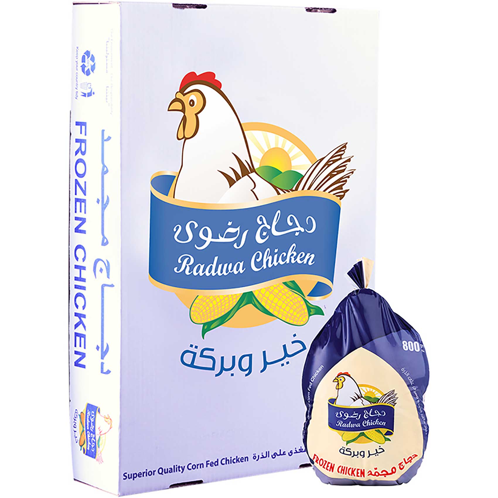 دجاج رضوى دجاج مجمد 800 جرام × 10