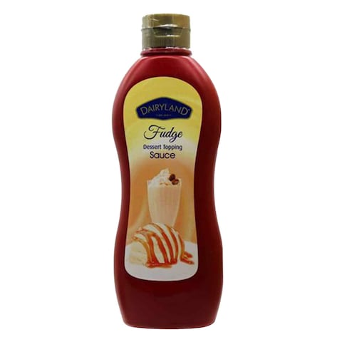 Dairyland Fudge Dessert Topping Sauce 650g