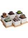 Generic 6 Pcs Geometric Succulent Planter, Set Of 6 White Ceramic Succulent Cactus Square Planter Pots With Bamboo Tray(Plants Not Included)