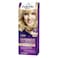 Schwarzkopf Palette Intensive Color Creme 9-0 Extra Light Blonde