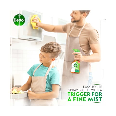 Dettol Antiseptic Antibacterial Trigger, 500ml