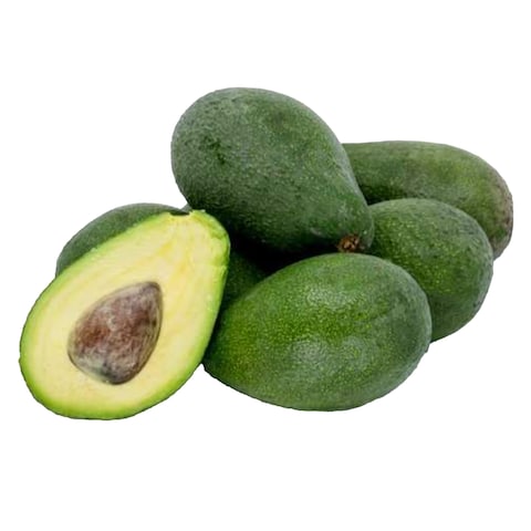 Fuerte Avocado Exotic Fruit