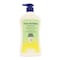Care Dr.Clean Hand Wash Ice Fresh - 450ml