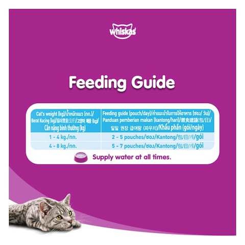 Whiskas Ocean Fish Junior Tuna Wet Cat Food 80g x Pack of 12