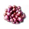 Onion Small India