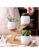 Generic 3 Pcs Cute Owl Pot Succulent Planter Flowerpot Decor For Home Office Desk With Bamboo Saucers Stand Holder (Owl Pot With Stand)