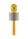 Generic Karaoke Mic With Bluetooth Speaker Gold/Silver