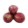 Red Onion Import