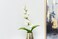 PAN Home Gladiolus Flower, White - H88cm