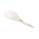 Servewell Serving Spoon White 24cm