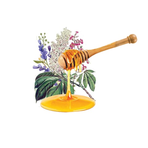 عسل اسباني (الكستناء واللافندر)