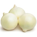 Buy White Onion in UAE