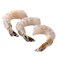 Frozen Shrimp 20/30