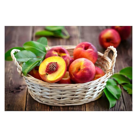 Nectarine Pack 500G