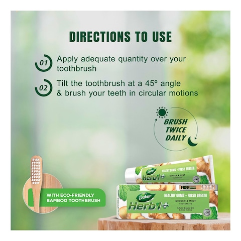 Dabur Herb&#39;l Plus Ginger And Mint Toothpaste With Bamboo Toothbrush Multicolour 150g