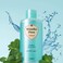 Etude House Wonder Pore Freshener, 250 ml, Blue
