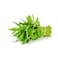 Sri Lanka Kankun/ Water Spinach