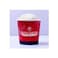 Coldstone Creamery French Vanilla Ice Cream 500ml
