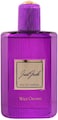 Just Jack Wild Orchid Perfume For Women, Eau De Parfum 100ML, For Her Long Lasting Fragrance