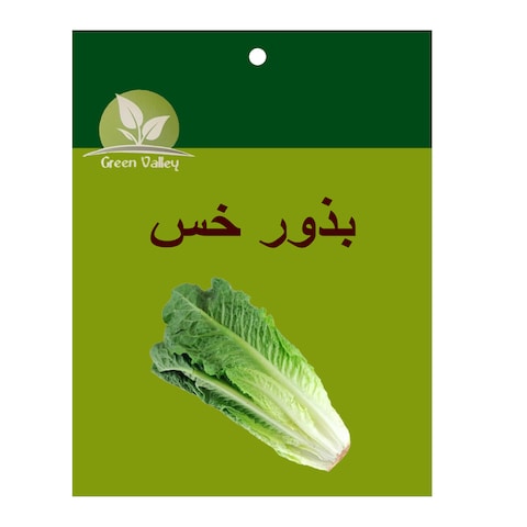 جرين فالي بذور خس - 10 جرام