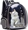 Transparent Pet Travel Backpack - Comfortable Outdoor Hiking Carrier for Small Cats and Dogs