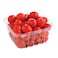 Dava Tomatoes Hydroponic Box 3 Kg