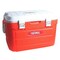 Thermos Foam Hard Cooler Red 20L
