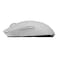 Logitech G Pro X Wireless Mouse White