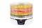 AUTOMATIC FOOD DEHYDRATOR FOR DRYING VEGETABLES, FRUITS AND MUSHROOMS , 5 INTERCHANGEABLE TRAYS, TEMPERATURE RANGE 35 C-75 C MODEL 2000