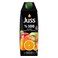 Juss 100% Mix Fruit Juice 1L