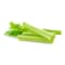 Fresh Celery Stick