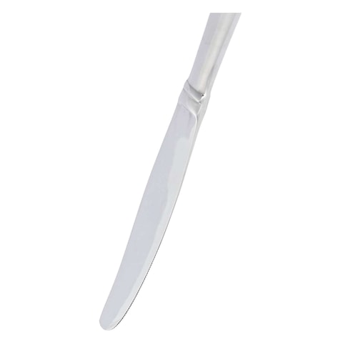 Winsor Pilla Stainless Steel Dessert Knife Silver