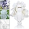 Elizabeth Arden White Tea Eau De Toilette For Women - 100ml